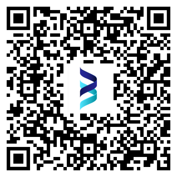 QR code for Designer Handbag