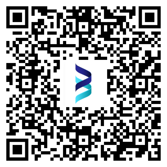 QR code for Brand Stilettos